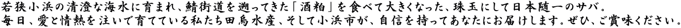 若狭小浜の清澄な海水に育まれ、鯖街道を遡ってきた「酒粕」を食べて大きくなった、珠玉にして日本随一のサバ。 毎日、愛と情熱を注いで育てている私たち田烏水産、そして小浜市が、自信を持ってあなたにお届けします。ぜひ、ご賞味ください。