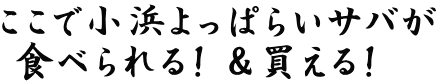 ここで小浜よっぱらいサバが  食べられる！＆買える！